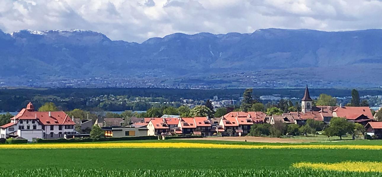 Zoom Collonge-Bellerive (2018/2019)